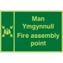 Glow in the dark fire assembly point sign in Welsh and English