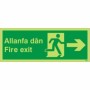Glow In The Dark Fire Exit Arrow Right Welsh and English Sign