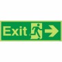Glow In The Dark Exit Arrow Right Sign