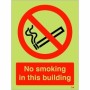 Glow in the Dark No Smoking In This Building prohibition sign
