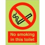 Glow in the Dark No Smoking In This Toilet prohibition sign